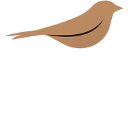 Willa Zięba & SPA